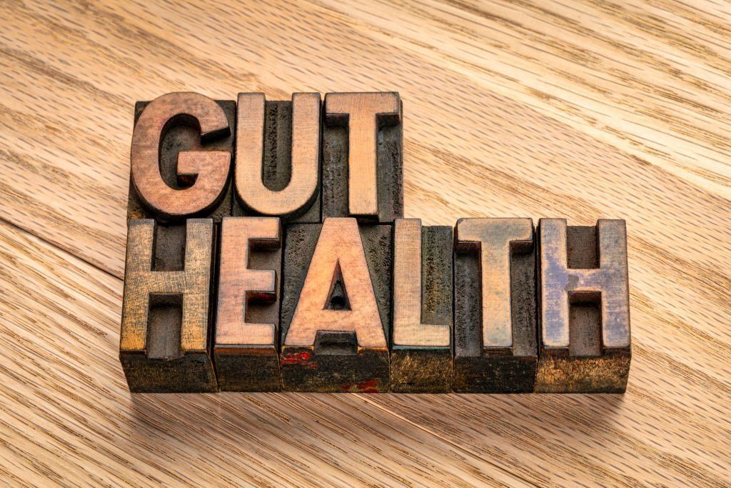 Gut Health Traffic