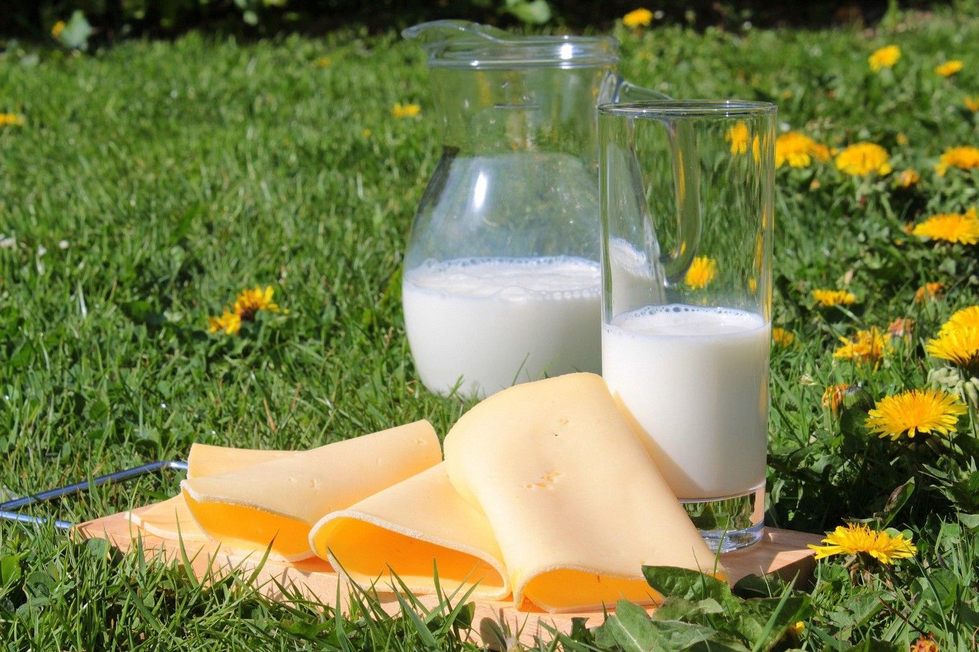 Calcium-rich food and lactose-free