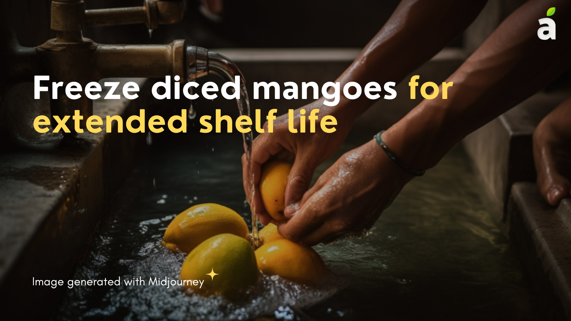 Mango blog
