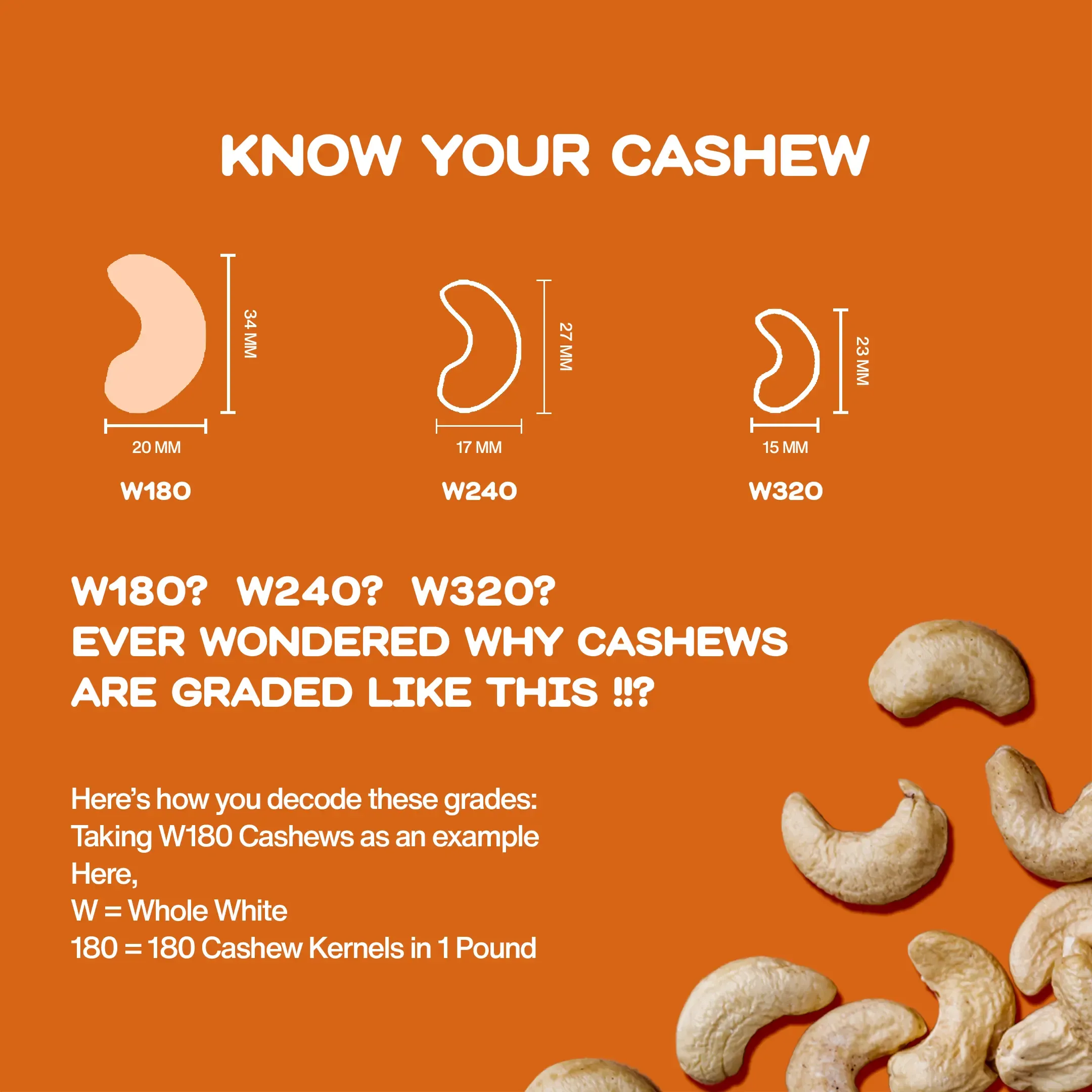 The Rare Food Company Cashew 180 Image