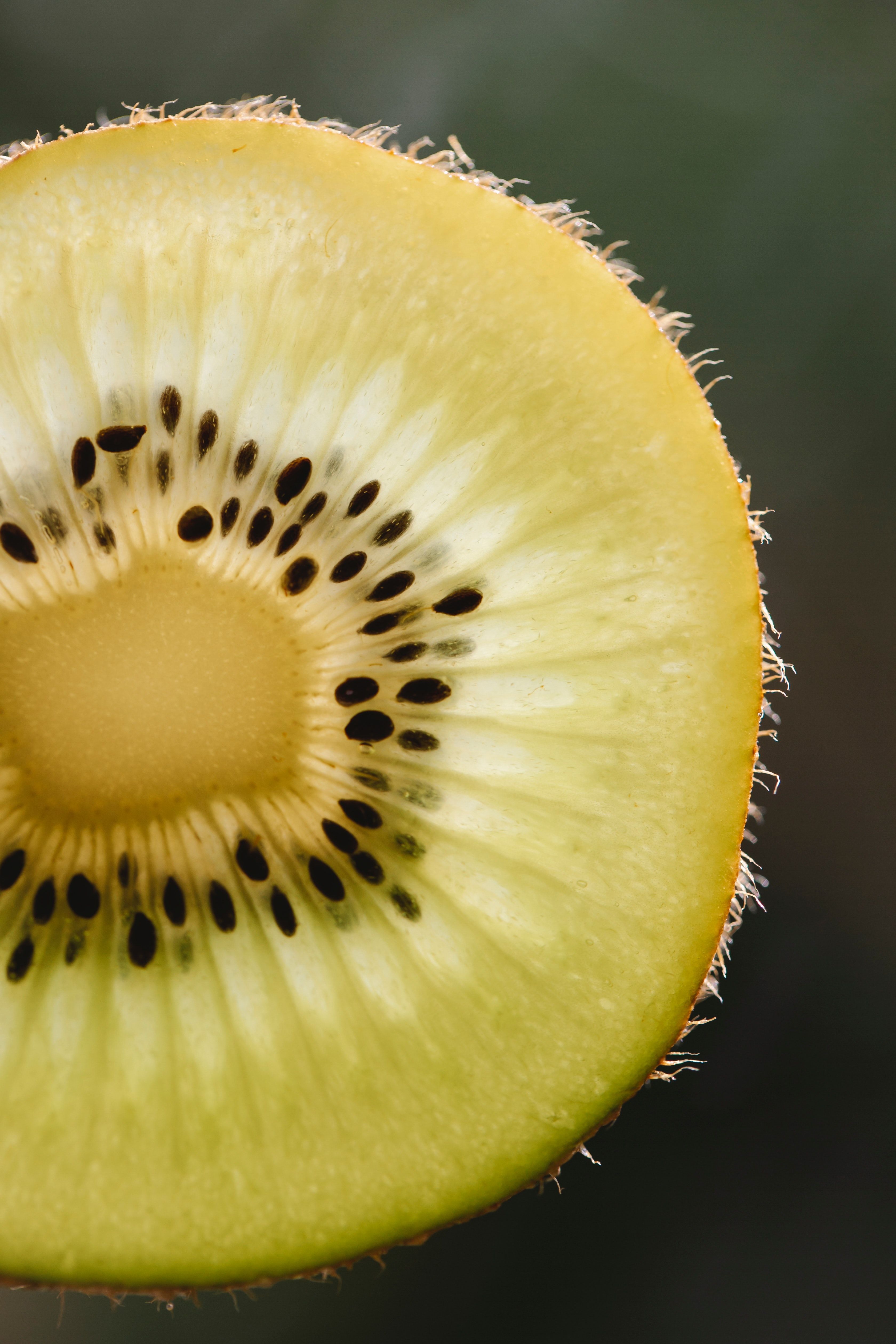 What is a kiwi?