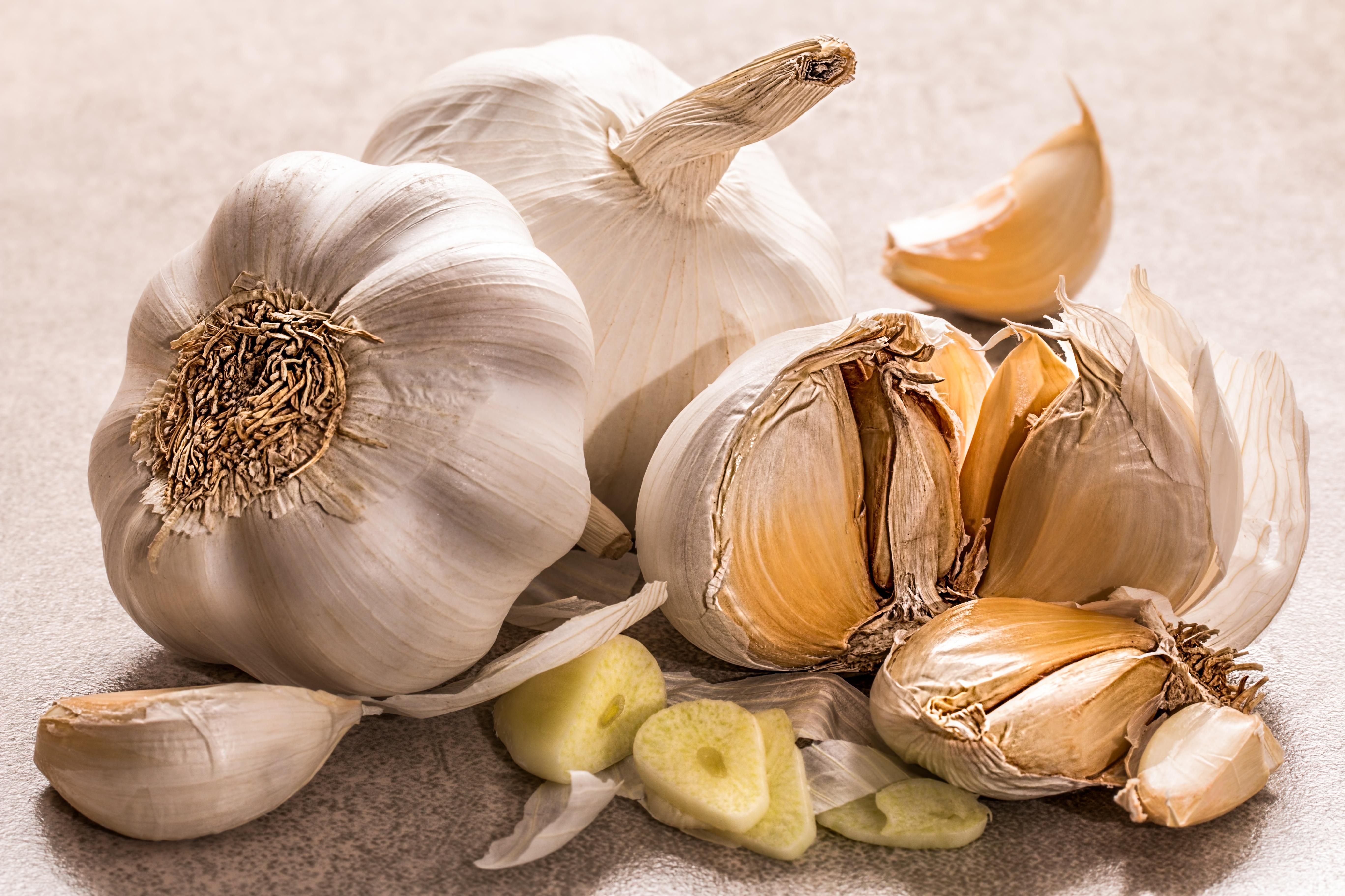 Garlic Allergy