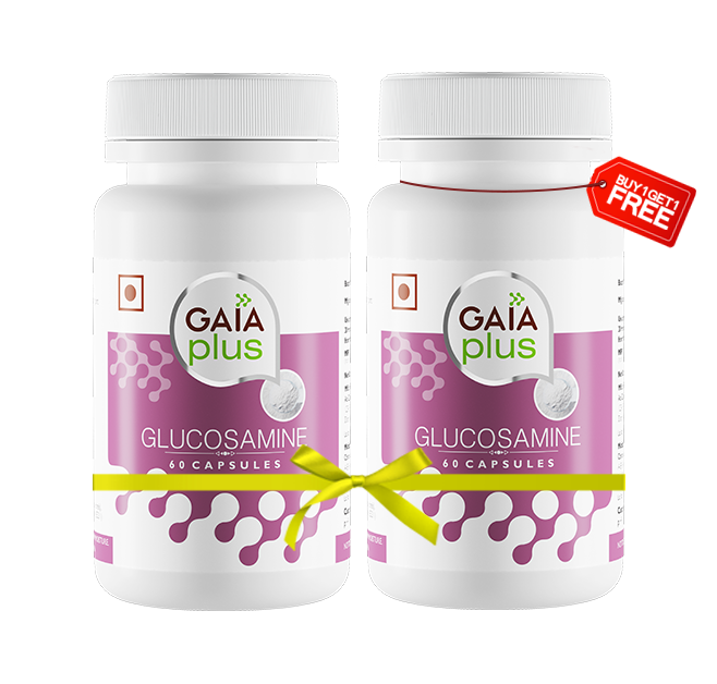 Gaia Plus Glucosamine Capsules Image